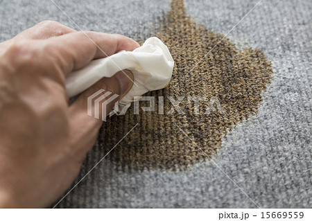 絨毯の染み抜きイメージ 15669559