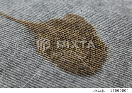 絨毯の染み抜きイメージ 15669604