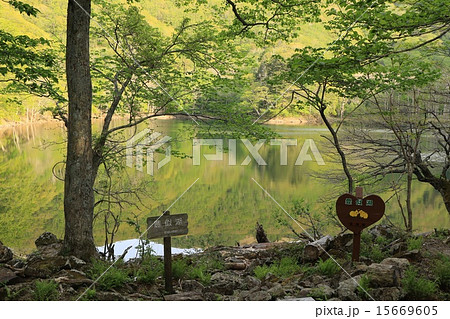 ナニカの棲む湖・豊似湖・北海道 15669605