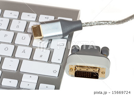 HDMI cable and DVI Converter 15669724
