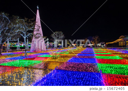 フローランテ宮崎イルミネーション 15672405