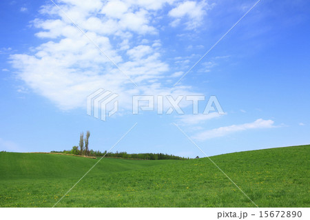 北海道　富良野市　草原と雲 15672890