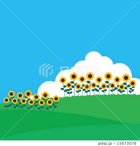 背景素材4-ひまわり畑 背景素材4-ひまわり畑 15673076
