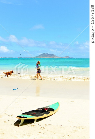 ハワイの休日 15673189