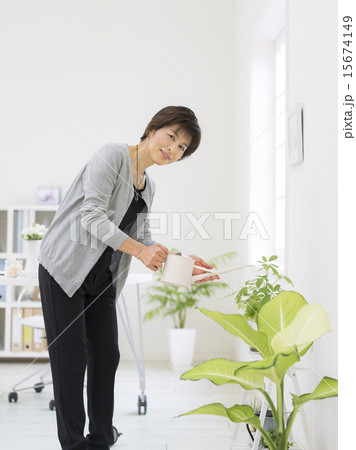 観葉植物に水やりする女性 観葉植物に水やりする女性 15674149