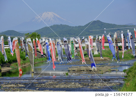 こいのぼり こいのぼり 15674577