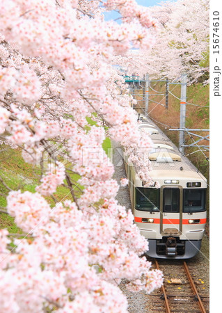 山北の桜と御殿場線 15674610