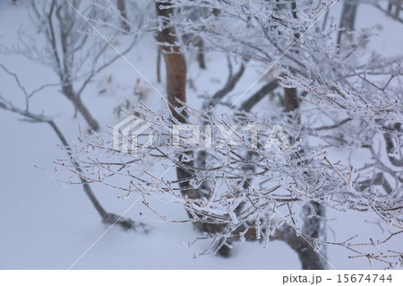 樹氷 15674744