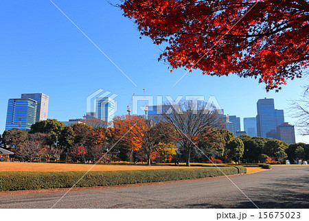 皇居前広場とオフィスビル 15675023