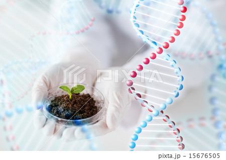 close up of scientist hands with plant and soil close up of scientist hands with plant and soil 15676505