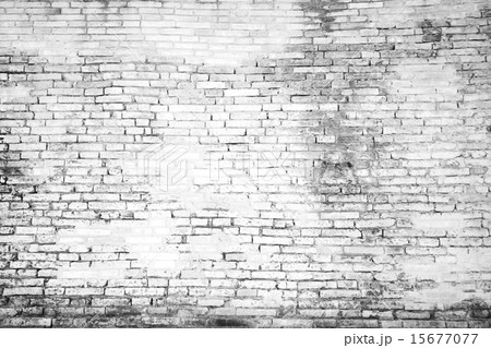 white brick wall for background white brick wall for background 15677077