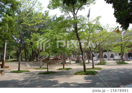 台湾 嘉義公園 台湾 嘉義公園 15678991