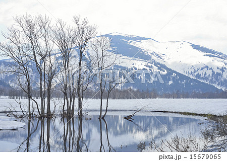 尾瀬ヶ原と至仏山-03 尾瀬ヶ原と至仏山-03 15679065