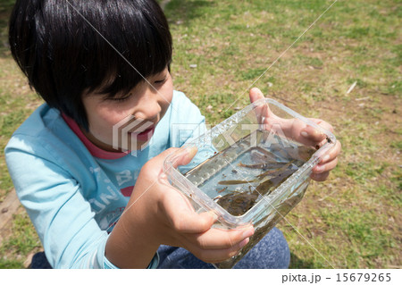 魚を観察する男の子 15679265