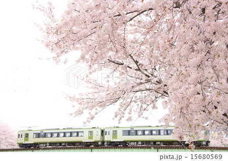 こだま千本桜と八高線 15680569