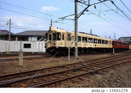 あおまつ号 15681279