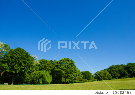 公園 15682468
