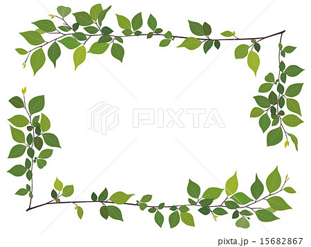 緑の葉っぱのフレーム 四角のイラスト素材 15682867 Pixta