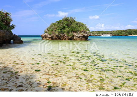 石垣島 川平湾 石垣島 川平湾 15684282