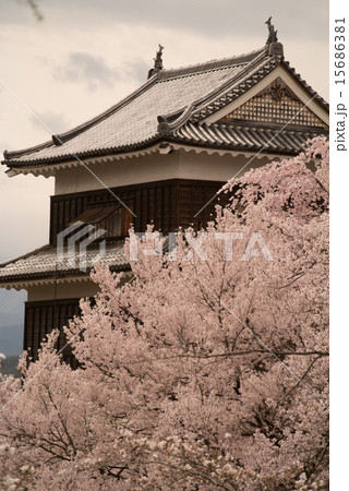 上田城 15686381