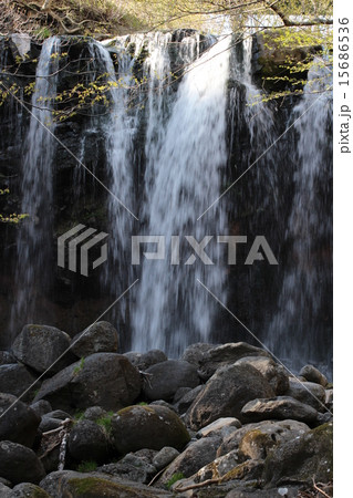 那須塩原の乙女の滝 15686536