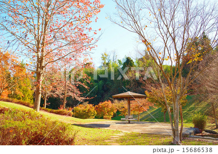 秋の公園 15686538