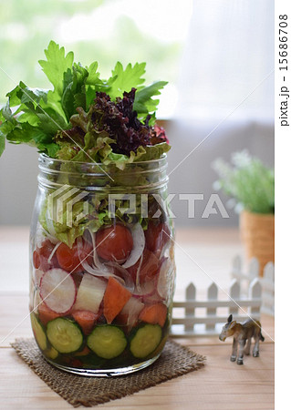 ボトルサラダ 15686708