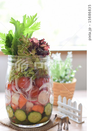 ボトルの中のベジファーム ボトルの中のベジファーム 15686835