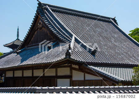 当麻寺 15687002
