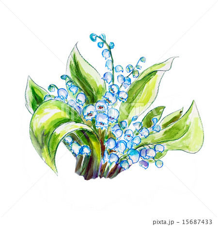 Lilies of the valley. Watercolor painting. 15687433