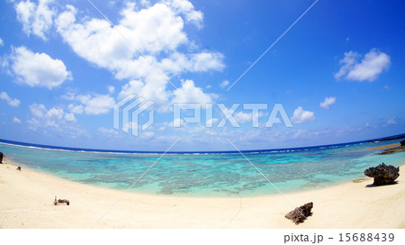 与論島 白い砂浜 与論島 白い砂浜 15688439