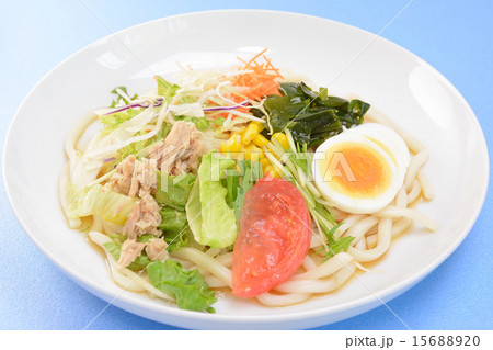 おいしいサラダうどん 15688920