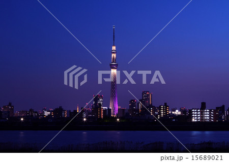 夕暮れの東京スカイツリー　雅ライトアップ 15689021