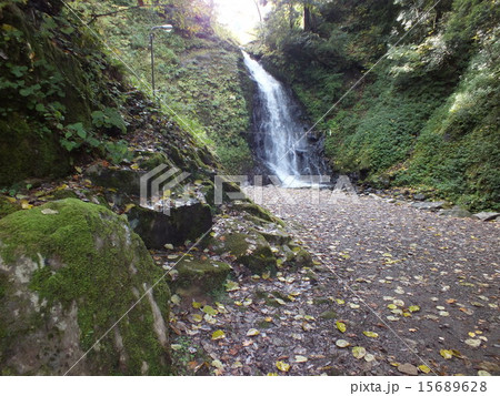 一乗谷の一乗滝 一乗谷の一乗滝 15689628