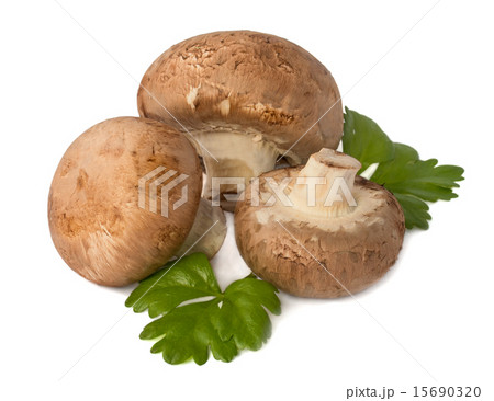 Brown champignon mushroom and parsley leaves Brown champignon mushroom and parsley leaves 15690320