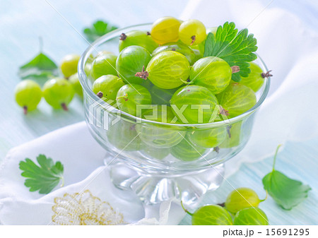 gooseberry 15691295