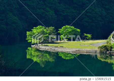 川上村の渓谷 15691515