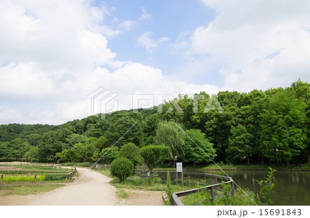 北山公園と八国山緑地(横位置) 北山公園と八国山緑地(横位置) 15691843