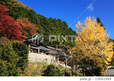 秋の岡山県八塔寺 秋の岡山県八塔寺 15691989