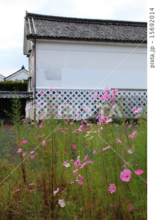 山口県萩市の古い町並み 山口県萩市の古い町並み 15692014