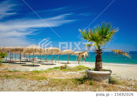 Reed umbrellas on the beach Reed umbrellas on the beach 15692026