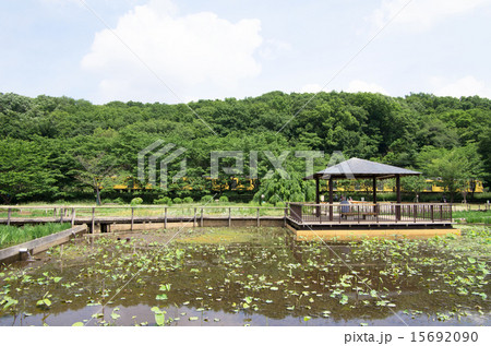 北山公園から見る西武線(横位置、右寄り) 北山公園から見る西武線(横位置、右寄り) 15692090