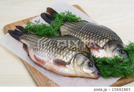 Two crucian Two crucian 15692865