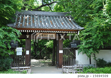 北区名主の滝公園 15694509