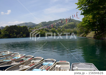 鯉のぼり 15694626