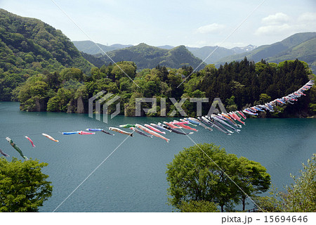 鯉のぼり 鯉のぼり 15694646