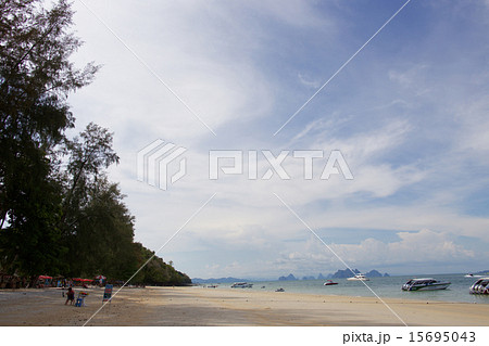プーケットのビーチ プーケットのビーチ 15695043