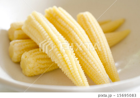 ヤングコーン ヤングコーン 15695083