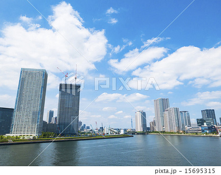 豊洲大橋からの都市風景 豊洲大橋からの都市風景 15695315