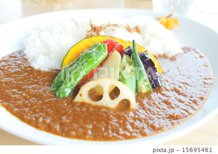 野菜カレー 15695461